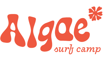 Algae surf camp